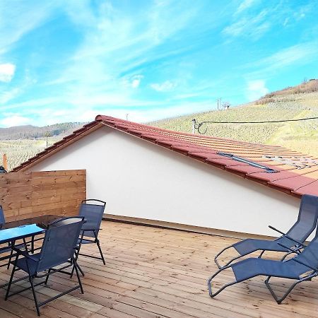 Vue Splendide Au Coeur Des Vignes Apartamento Bergheim Exterior foto