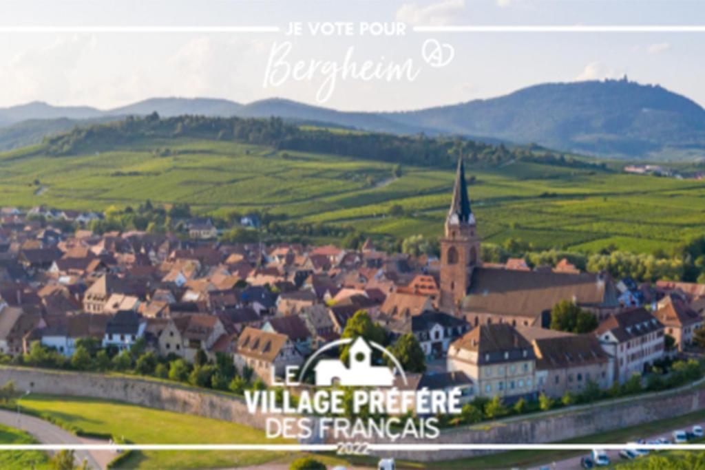 Vue Splendide Au Coeur Des Vignes Apartamento Bergheim Exterior foto