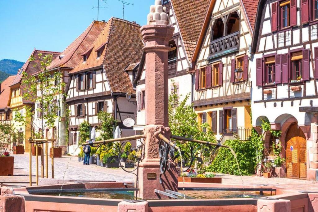 Vue Splendide Au Coeur Des Vignes Apartamento Bergheim Exterior foto