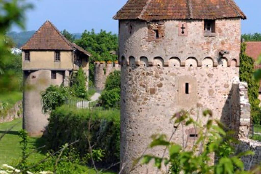 Vue Splendide Au Coeur Des Vignes Apartamento Bergheim Exterior foto
